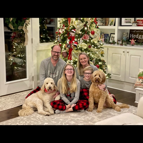 Meet your Posher, Misty - Picture 4 of 4